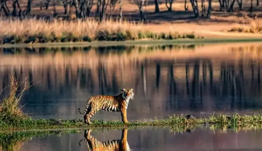Golden Triangle with Ranthambore Tour Package
